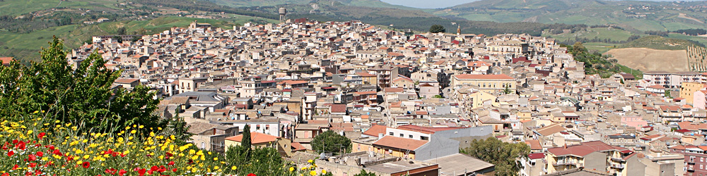 panorama.jpg